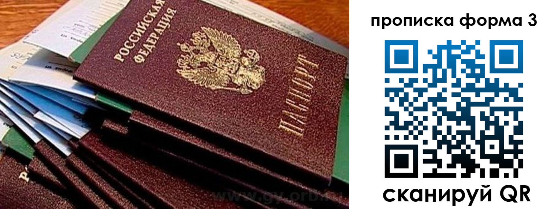 прописка иностранных граждан в Домодедово